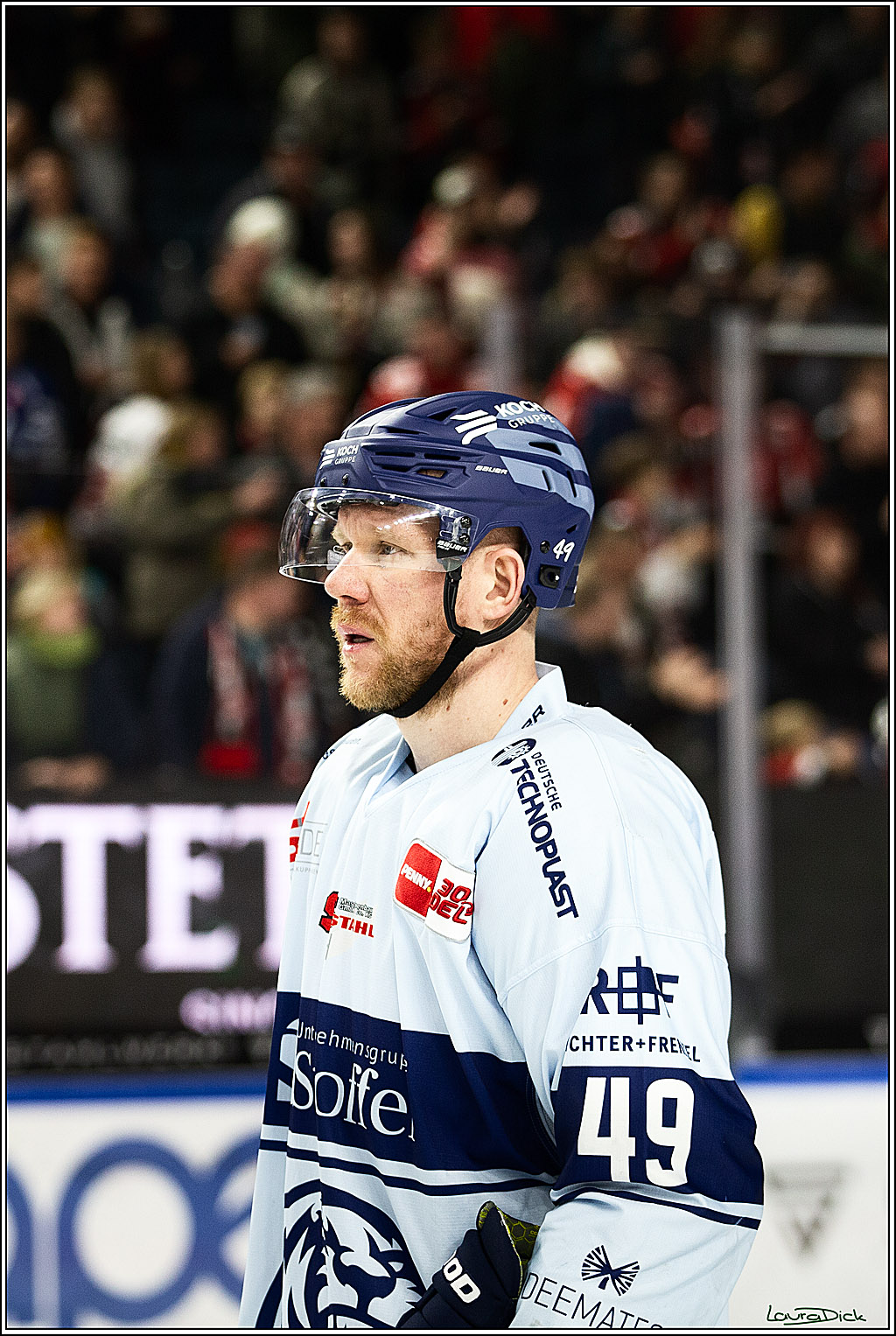 PENNY DEL; Koelner Haie- Straubing Tigers; Koeln, 15.12.2023
